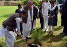 PM Imran Khan plants a tree at Foreign Office