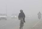 Latest Punjab Government Preps to Fight Incoming Smog