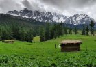 Boyun Village: The Green Top of Kalam Valley