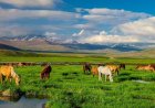 Deosai National Park: The Land of Giants