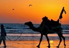 The Ultimate Beach Guide to Karachi