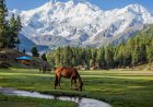 The Best Time to Visit Fairy Meadows: A Seasonal Guide