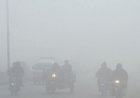 Thick Fog in Punjab Disrupts Daily Life and Traffic