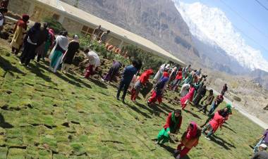 Karakorum University begins Tree Plantation Drive in Gilgit