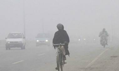 Latest Punjab Government Preps to Fight Incoming Smog