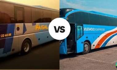 Daewoo express or Faisal Movers? Which one is the best