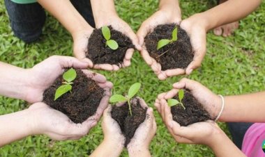KMU launches Green Pakistan Plantation Campaign to Boost Eco-tourism