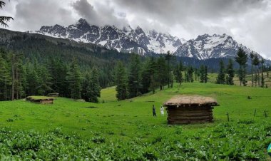 Boyun Village: The Green Top of Kalam Valley