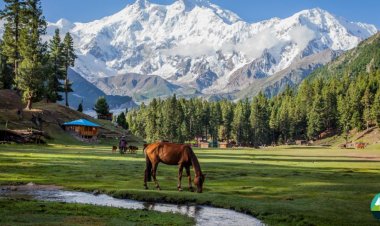 The Best Time to Visit Fairy Meadows: A Seasonal Guide