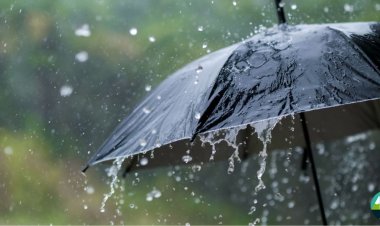 PMD Issues Weather Alerts for Rain, Wind, and Thunderstorms