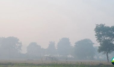 Pakistan Braces for Cold Spell and Smog Threat