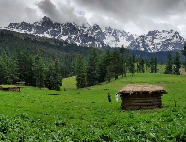 Boyun Village: The Green Top of Kalam Valley