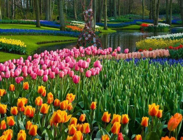 Top 6 Must-Visit Spring Destinations in Pakistan