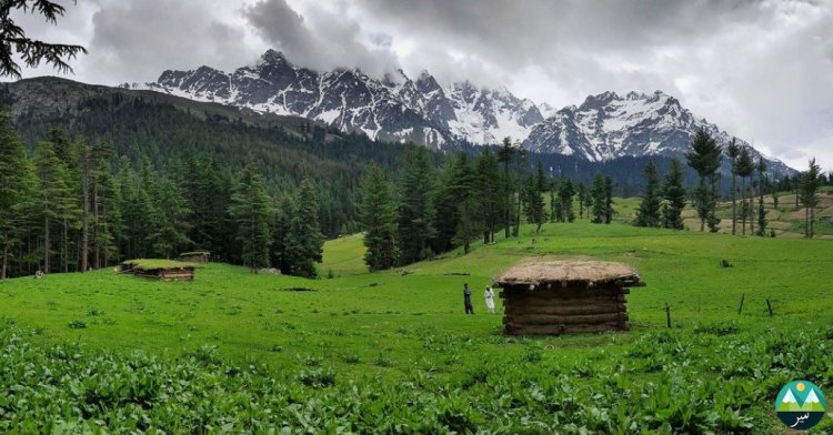 Boyun Village: The Green Top of Kalam Valley