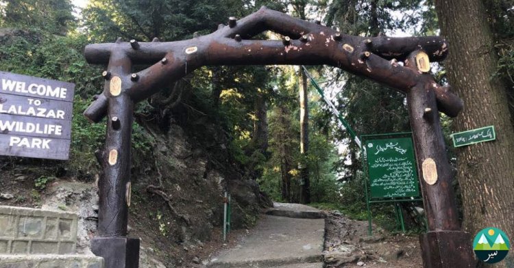 Exploring the Enchanting Lalazar Park in Murree