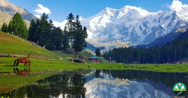 10 Reasons Why Fairy Meadows is a Dream Destination for Tourists